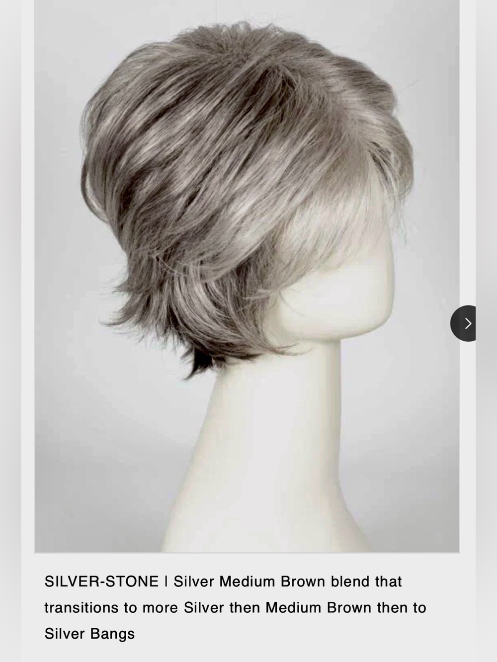 Rene of Paris, Coco Silver-Stone Short Layered Women's Wig - Silver